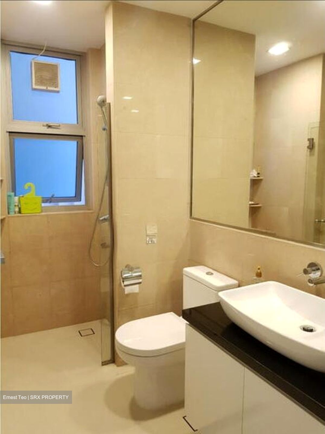 Cairnhill Crest (D9), Condominium #501331551